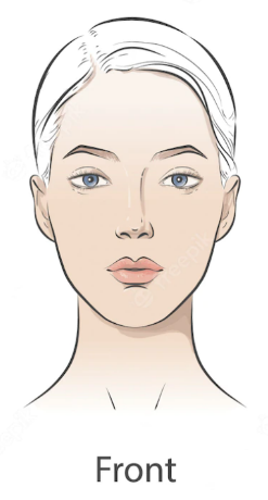 Schéma d'un portrait de face