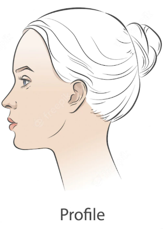 Schéma d'un portrait de profil
